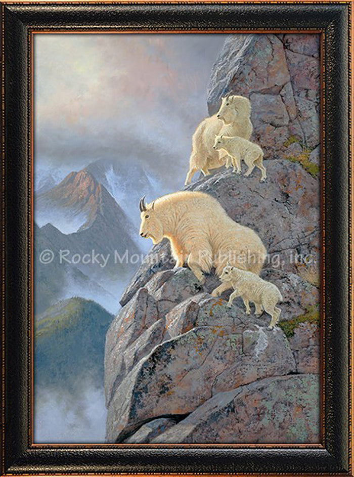 Hayden Lambson - A Family Affair - Mountain Goats