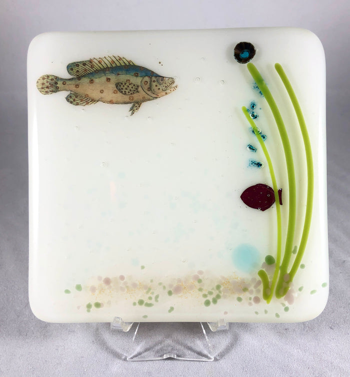 Aquarium Coaster