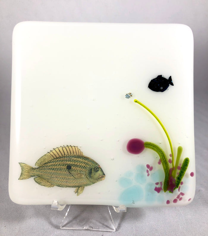 Aquarium Coaster