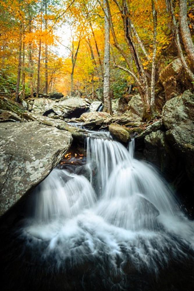 Autumn Bliss - Art Prints by Jason Clemmons