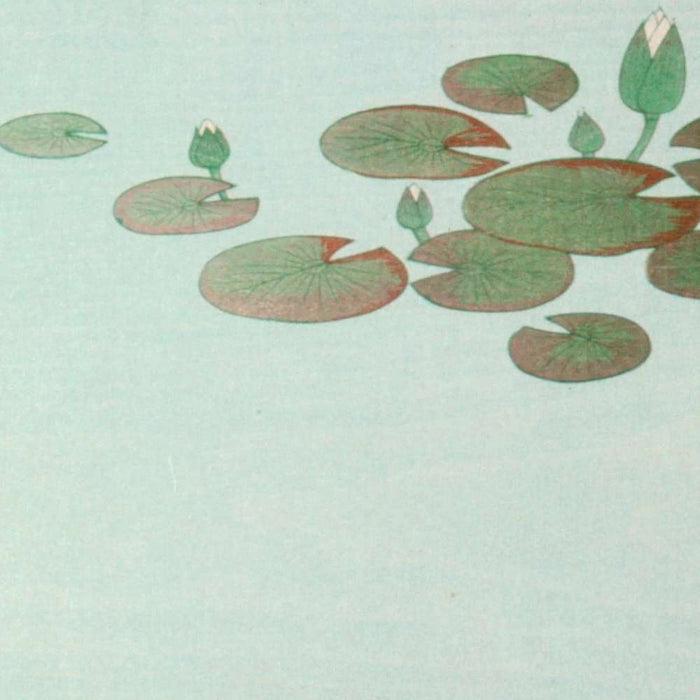 Common and Golden Carp by Ohara Koson, 1935