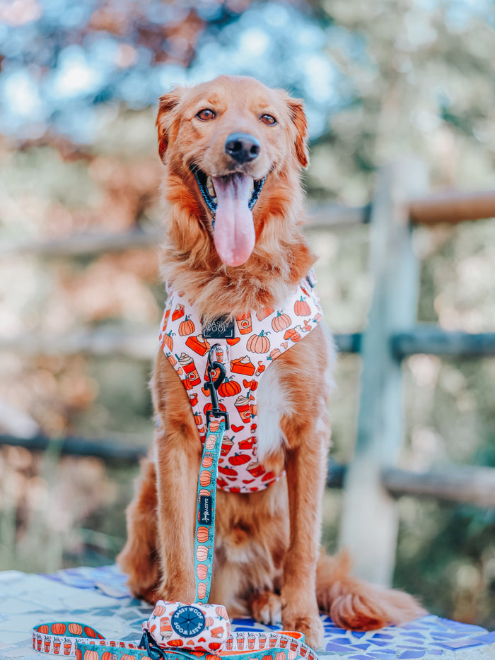 A golden retriever sits outdoors in the Sassy Woof Dog Two Piece Bundle - Pie There, featuring an adjustable harness and matching leash, with orange pumpkin designs and a blurred wooden fence and trees in the background.