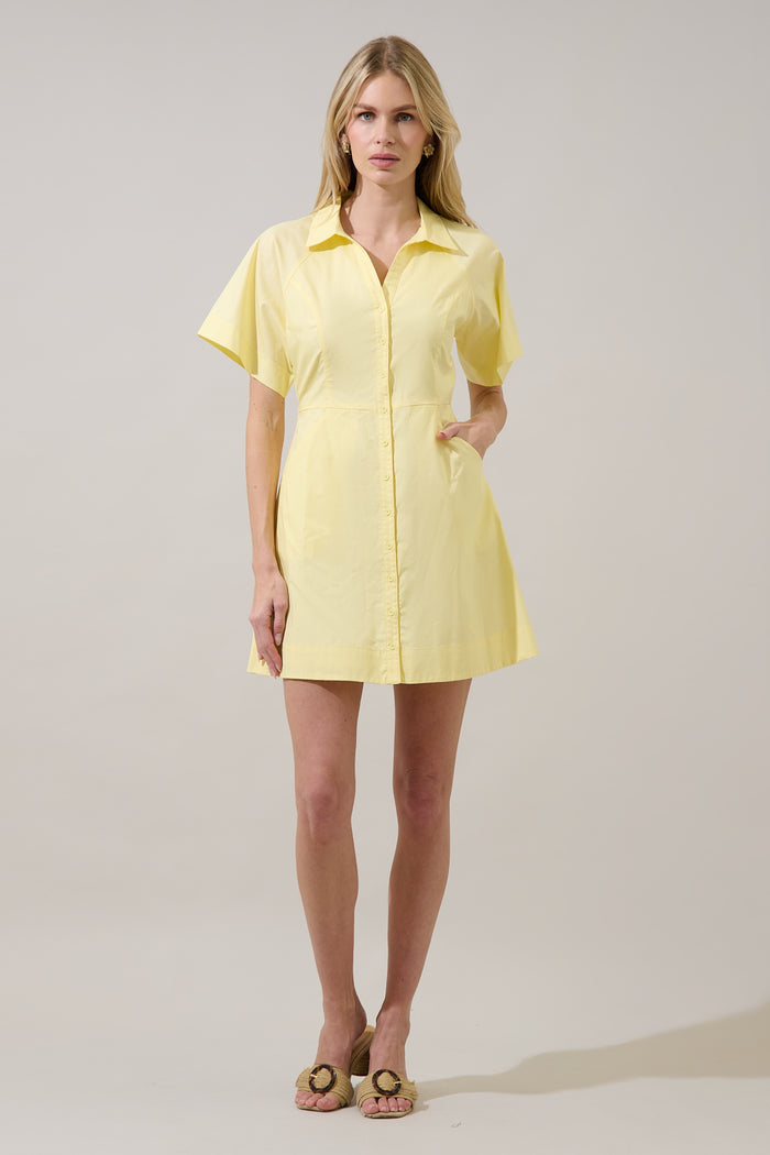 Durella Button Down Mini Dress