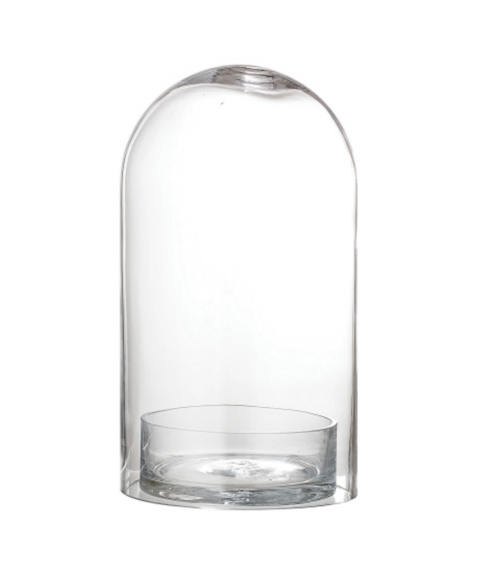 Glass Cloche