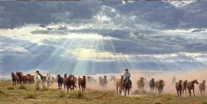 Tim Cox God's Gift to Man Western Horses Roundup Art Prints