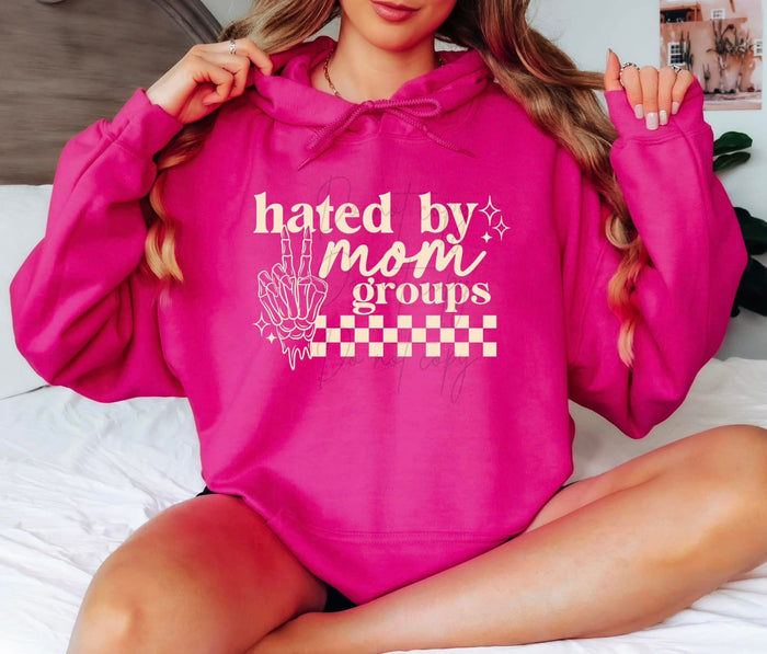 Hated by mom groups