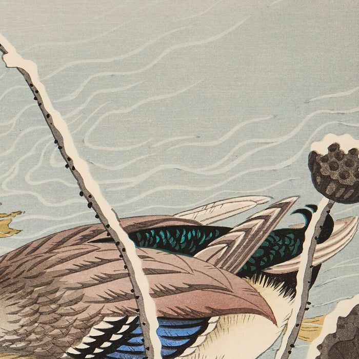 Mallards and Lotus under Snow by Ohara Koson, 1936