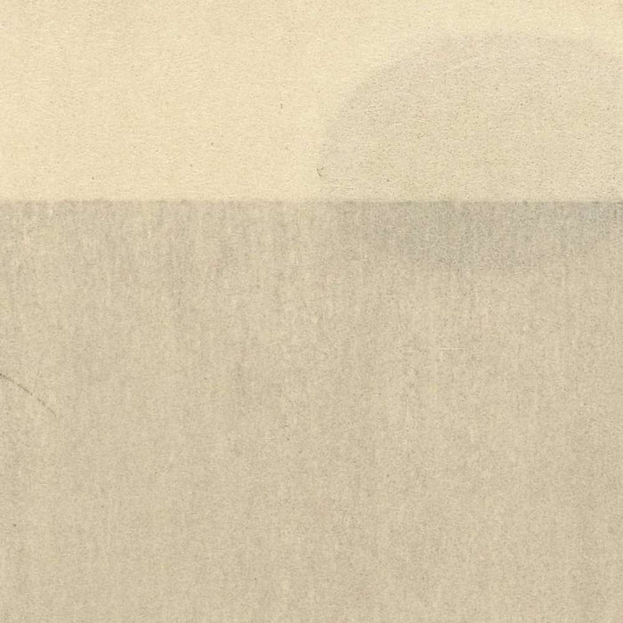 Monkey with Insect by Ohara Koson, 1900