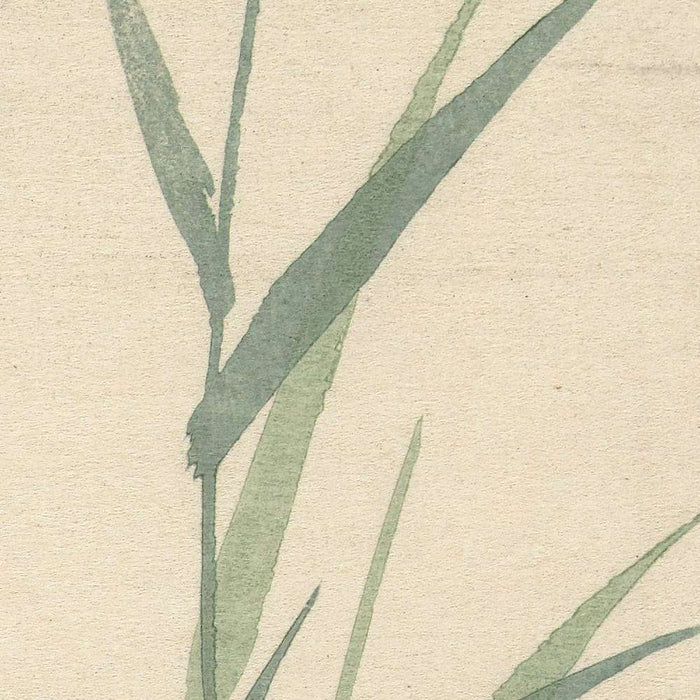 Moorhen II by Ohara Koson, 1900