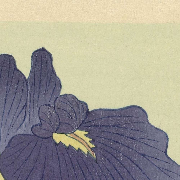 Moorhens and Iris by Ohara Koson, 1925
