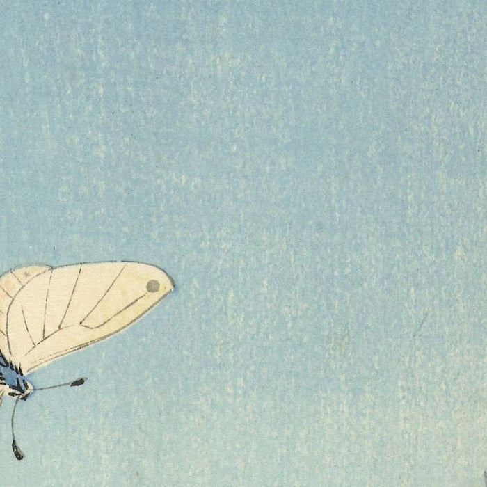 Peony with Butterfly by Ohara Koson, 1925
