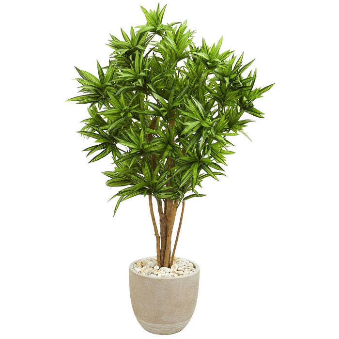 4.5' Dracaena Artificial Tree in Sandstone Planter