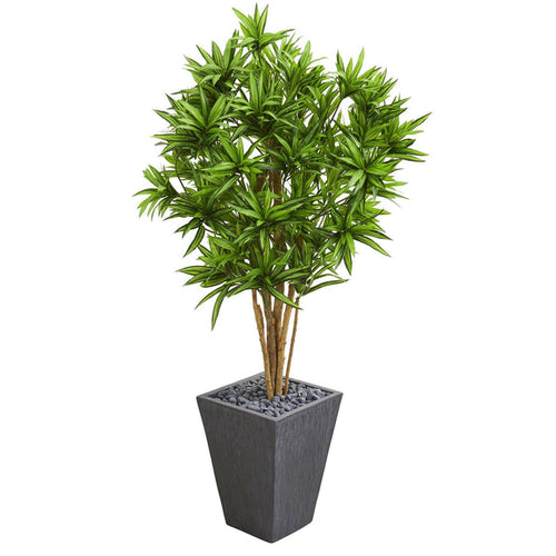5' Dracaena Artificial Tree in Slate Finished Planter