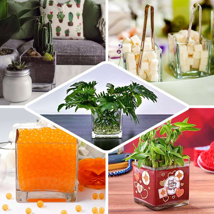 Variety of decorative plant arrangements in glass containers.