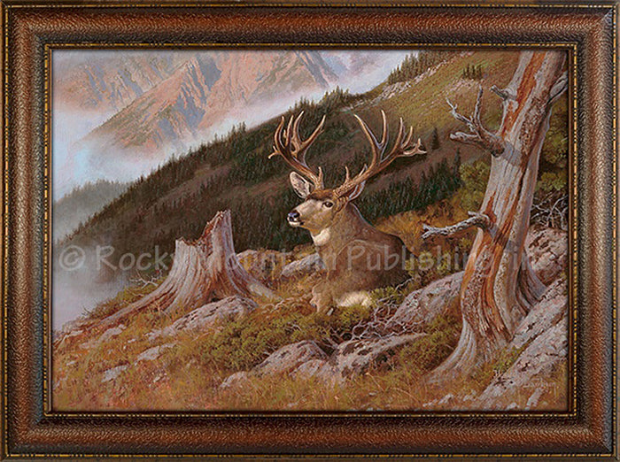 Hayden Lambson - A Bed With a View - Framed Canvas print