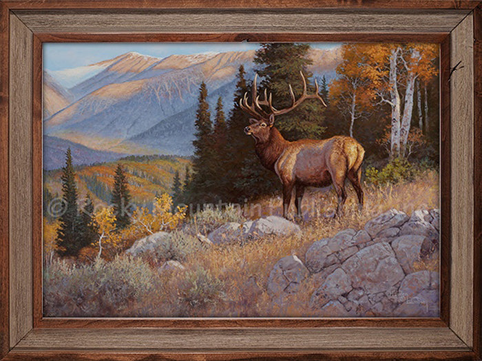 Across the Canyon - Hayden Lambson Framed Canvas Print