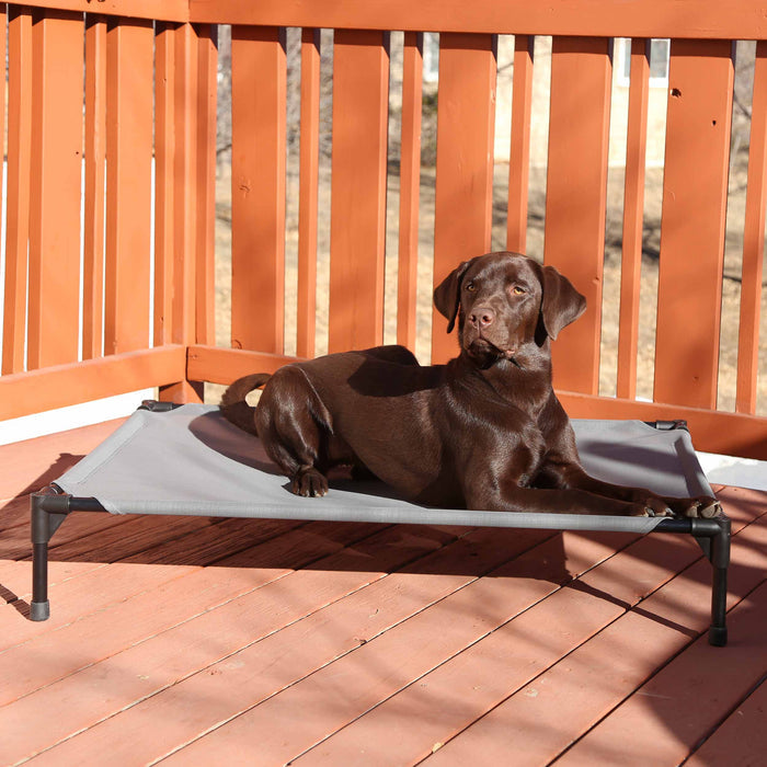 All Weather Pet Cot