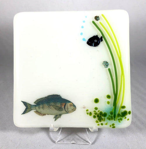 Aquarium Coaster