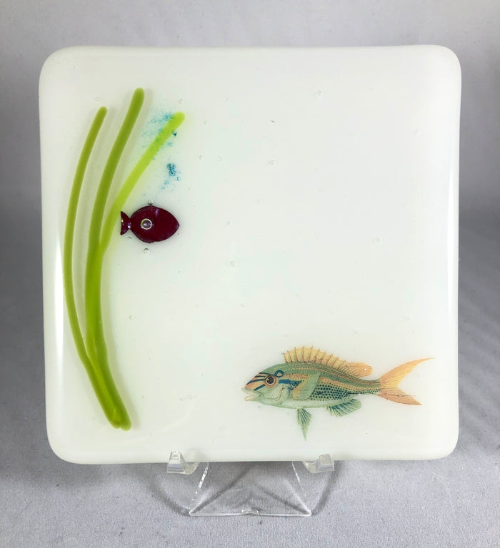 Aquarium Coaster