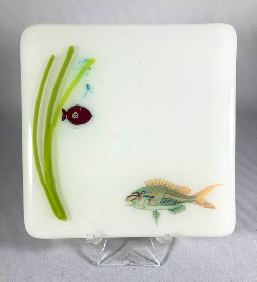 Aquarium Coaster