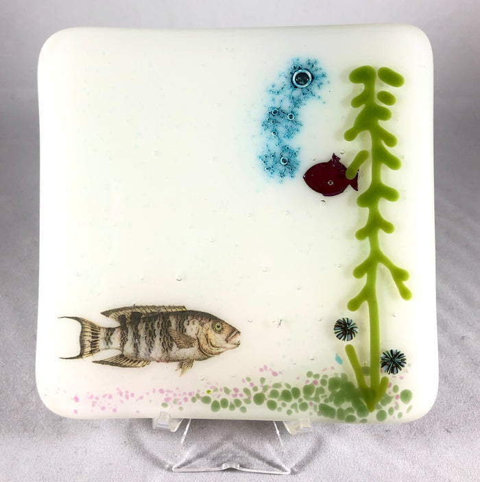 Aquarium Coaster
