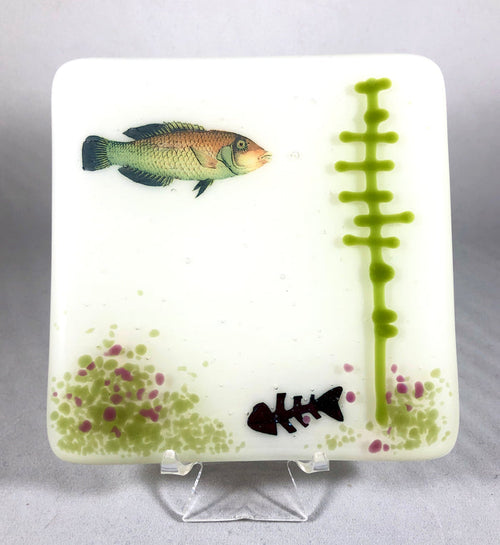 Aquarium Coaster