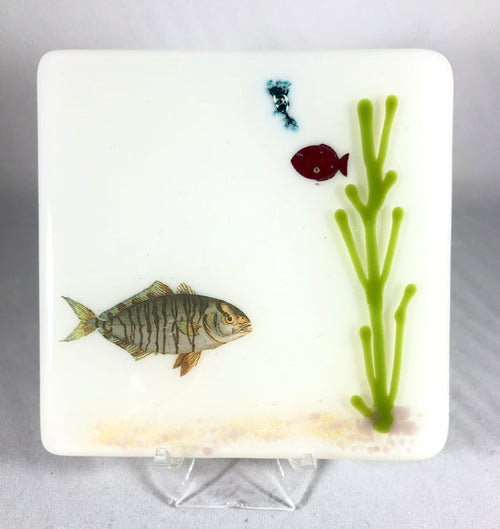 Aquarium Coaster
