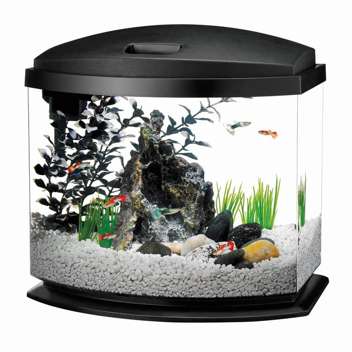 Aqueon MiniBow LED Aquarium Kit 1 Gallon
