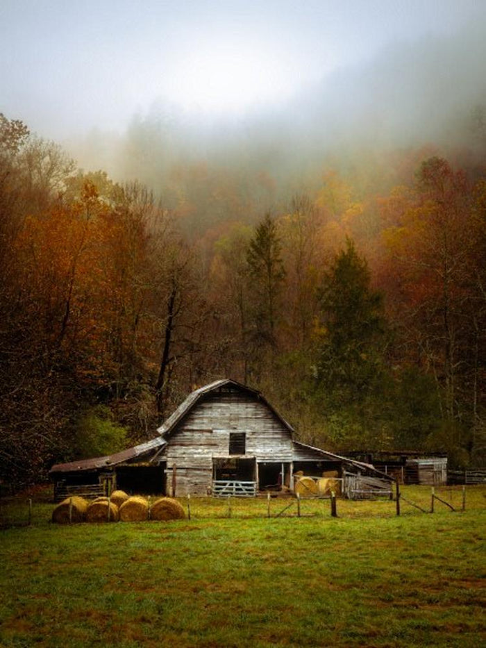 Autumn Glow - Art Prints by Jason Clemmons