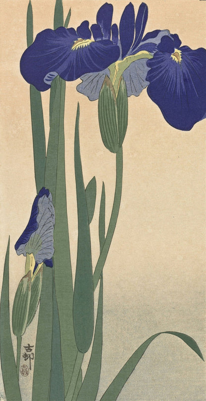 Blue Irises by Ohara Koson, 1900