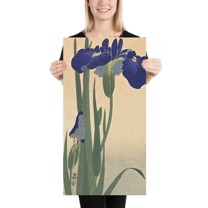 Blue Irises by Ohara Koson, 1900