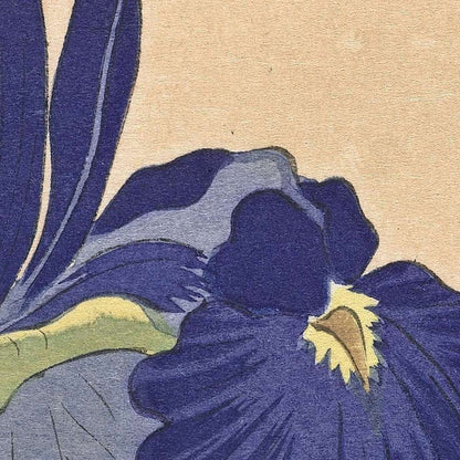 Blue Irises by Ohara Koson, 1900