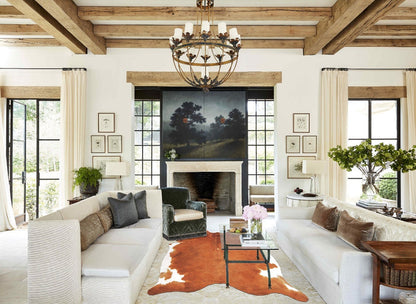 Brown and White Regular Cowhide Rug #B4058