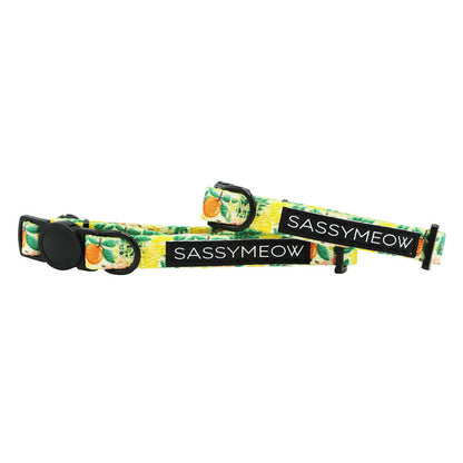 Two adjustable Zest Friends cat collars by Sassy Woof with green, yellow, and orange fruit patterns, black buckle closures, and a black "SASSYMEOW" label—perfect for playful pets who love fruity style.
