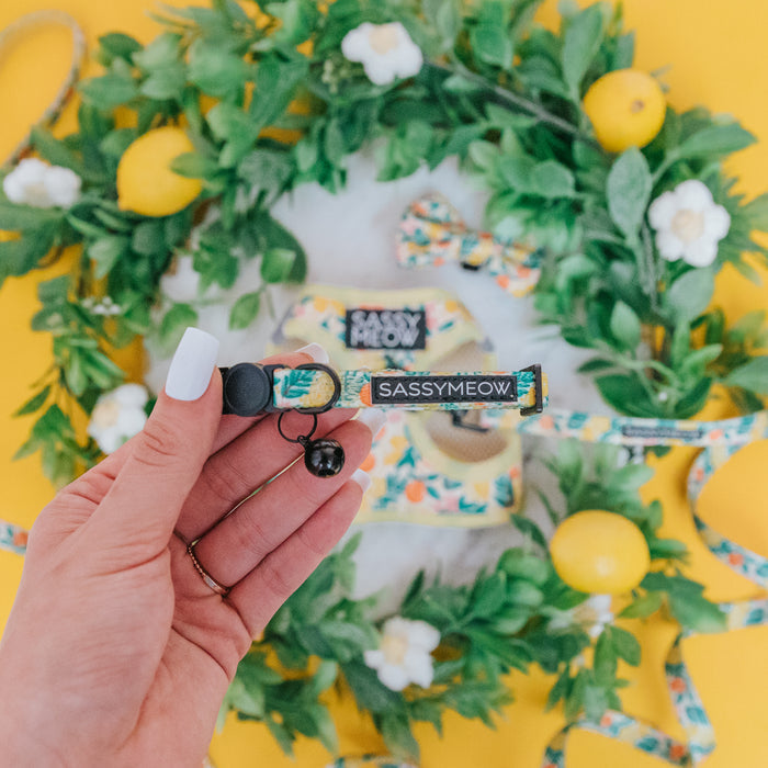 A hand with white nail polish holds a Sassy Woof Cat Collar - Zest Friends, featuring a lemon fruit pattern and bell. Green leaves, white flowers, lemons, and matching accessories appear on a bright yellow surface in the background.