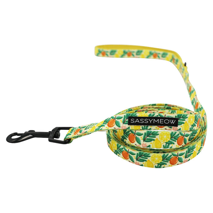 The Sassy Woof Cat Leash - Zest Friends features a yellow citrus fruit and leaf pattern with oranges and lemons, a comfy neoprene handle, sturdy D-ring, black metal clasp, and a "Sassy Woof" label near the handle.
