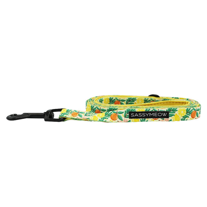 The Zest Friends cat leash from Sassy Woof features a tropical fruit pattern with pineapples and lemons on a white background, a comfy neoprene handle, sturdy D-ring, black metal clasp, and a Sassy Woof label.