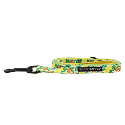 The Zest Friends cat leash from Sassy Woof features a tropical fruit pattern with pineapples and lemons on a white background, a comfy neoprene handle, sturdy D-ring, black metal clasp, and a Sassy Woof label.