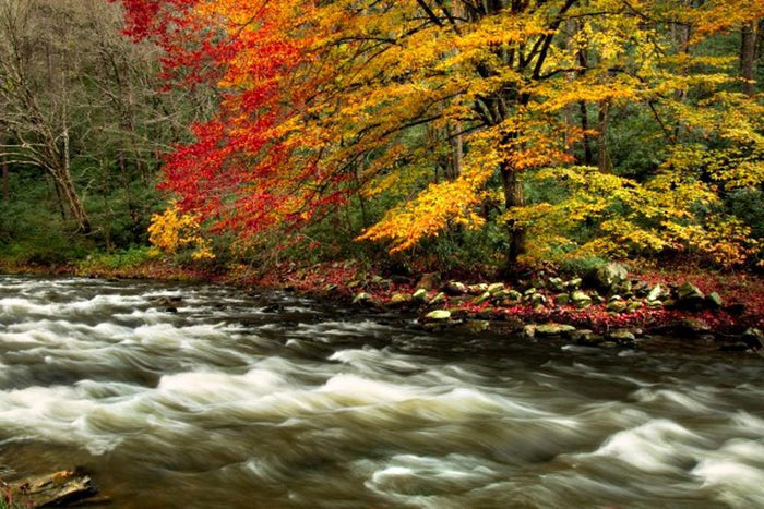 Color Flow - Art Prints by Jason Clemmons