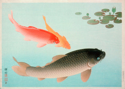 Common and Golden Carp by Ohara Koson, 1935