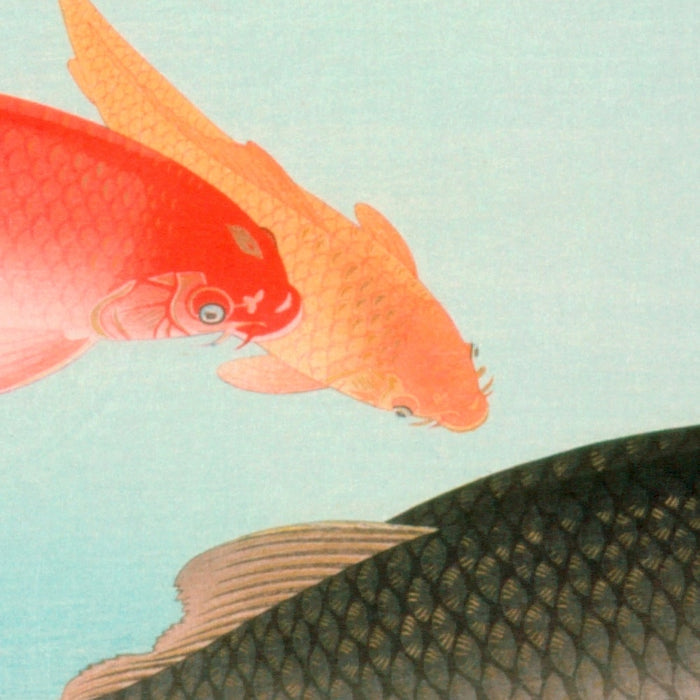 Common and Golden Carp by Ohara Koson, 1935