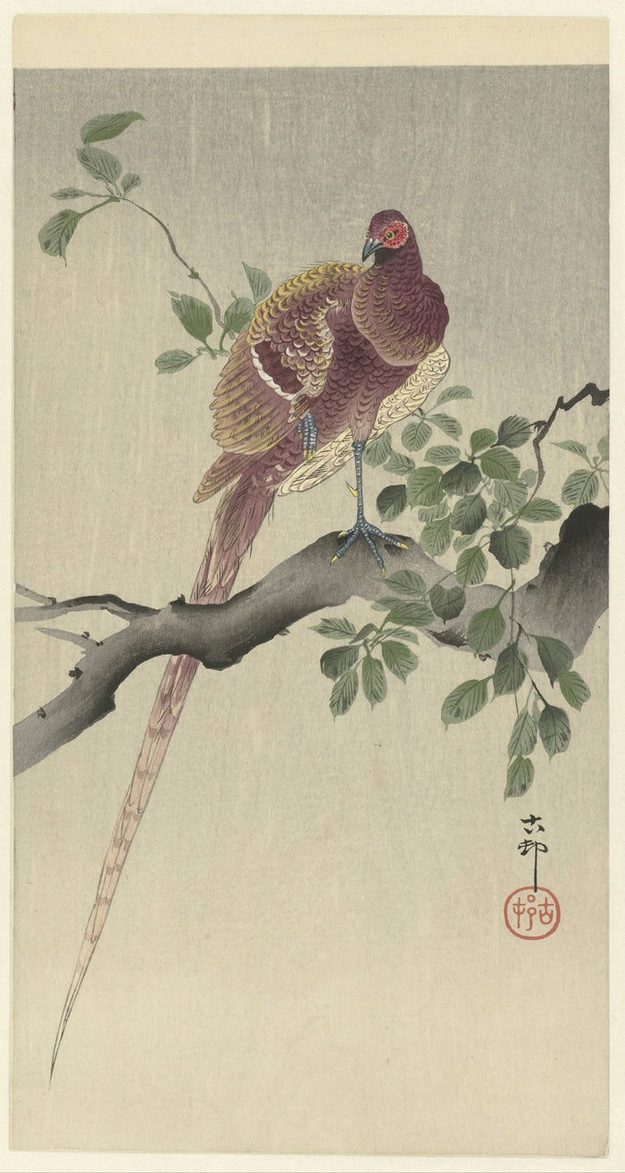Copper Pheasant by Ohara Koson, 1900