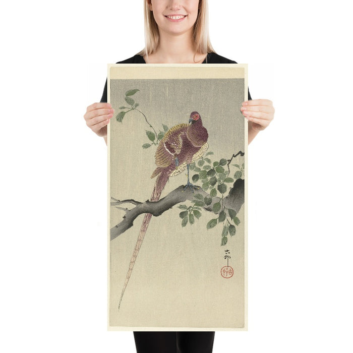 Copper Pheasant by Ohara Koson, 1900