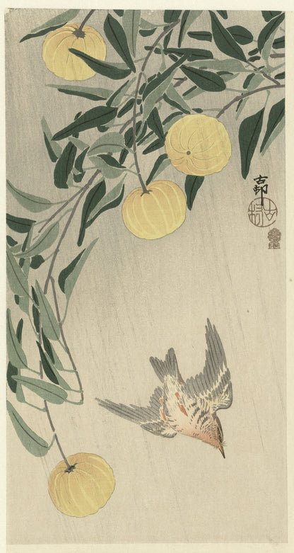 Cuckoo in the Rain by Ohara Koson, 1900