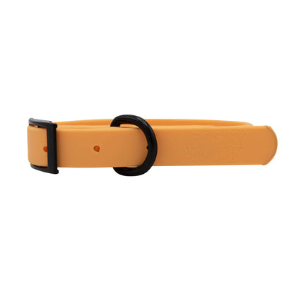 The Sassy Woof Dog Bundle - Adventure Collection (Orange) features a durable orange dog collar with black hardware and D-ring, plus "SASSY WOOF" embossed on the side—perfect adventure gear for your pup.