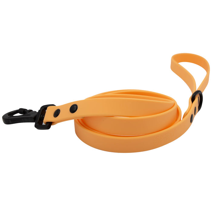 The Sassy Woof Dog Bundle - Adventure Collection (Orange) leash, featuring a black metal clip and button fasteners, is rolled up and displayed on a white background.