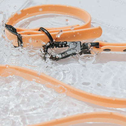 The Sassy Woof Dog Bundle - Adventure Collection (Orange) features a waterproof dog leash with a black metal clasp, shown partially submerged in clear water with splashes and droplets highlighting its durability.
