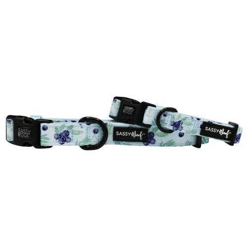 Two "Berry Sassy" dog collars by Sassy Woof are shown on a white background, each decorated with blue and purple floral patterns, sturdy D-rings, black buckles, and visible brand labels.
