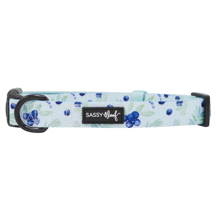 The Sassy Woof Dog Collar - Berry Sassy features a blue and white design with an adjustable fit and a sturdy D-ring for secure leash attachment.