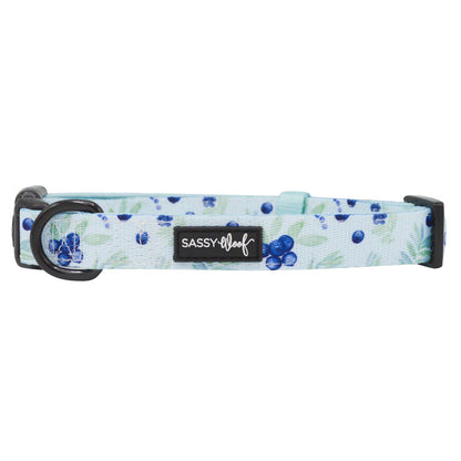 The Sassy Woof Dog Collar - Berry Sassy features a blue and white design with an adjustable fit and a sturdy D-ring for secure leash attachment.